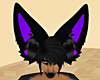 Big Black & Purple Ears