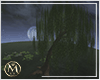 ℳ▸ Park Willow