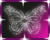 Sbnm butterfly sticker