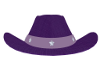 Cowgirl Hat-1-Puirple