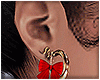 ✘ Xmas Earring