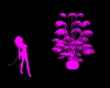 (1M) Pink Silhouette