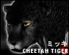 ! Black Cheetah Tiger