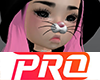 .(A1) NPC ANIM