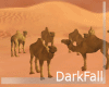 Desert Camel Group