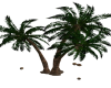 Animated Coconut Palm