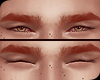 ♠ Nature Brows Red