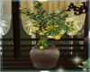 A3D* Lemon Plant