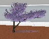 LL-Lilac Fairy tree
