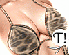 T! Cheetah Set v3