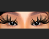 angel top lash