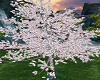 White Sakura Tree