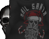 Hail Santa