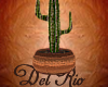 Del Rio Cactus