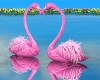 Love Flamingos Ani.