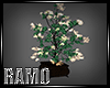 Tree Plant