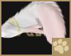 ~AM~ Jasar Tail v4