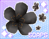 +Body Sakura Black