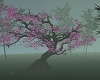 ~HD~Cherry blossom