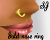 [SJ] Nose Piercing/gold