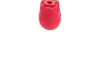 rosetoy