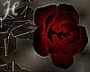 A~Eternity Hanging Roses