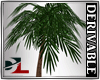 palms resort derivable