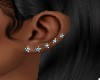 STARFISH  EARRINGS