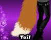 | Foxira Tail 2 |