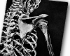 Skeleton