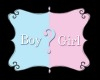 BH}Gender Reveal Sign