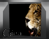 [VC]Leopard Wall art I