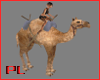 PL Animated Camel