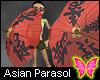Asian Parasol