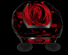 Rose coffin