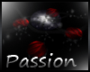 (K) Passion Luv Set