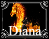 photo box horse