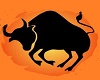 taurus  shoes