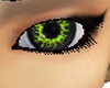 Wolf eyes light green