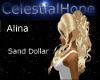Sand Dollar Alina