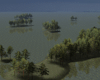 Swamp