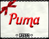! A Stockingx Pumita