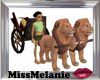 Lion Ride