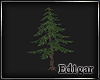 (ED1)Tree-13--Animation