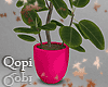 Deep Pink Vase Plant