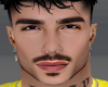 HEAD MARIO