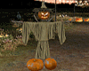 T-  Halloween Scarecrow