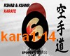 R3hab & KSHMR Karate