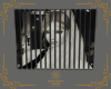 Frame Kayra Exclusive