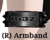 (R) ArmBand Bi3Z